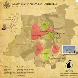 Vineyard map by Filipa Pato