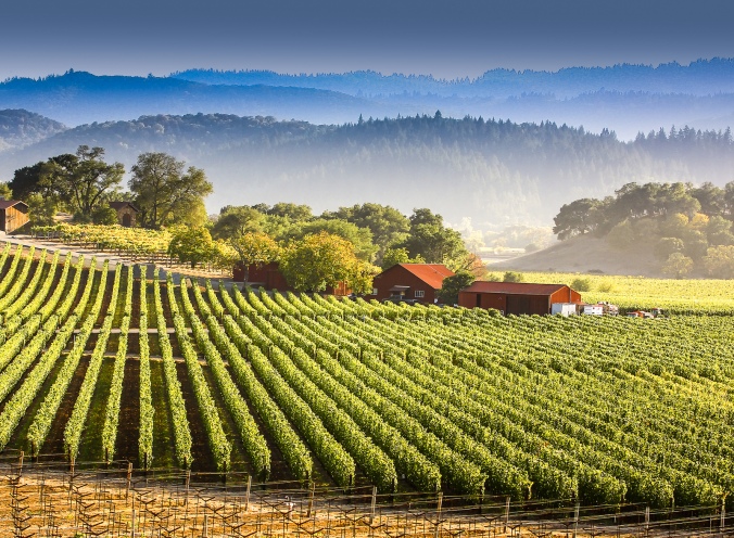napa-valley-by-huffingtonpost